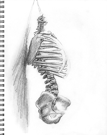 Skeleton 2 (class assignment).